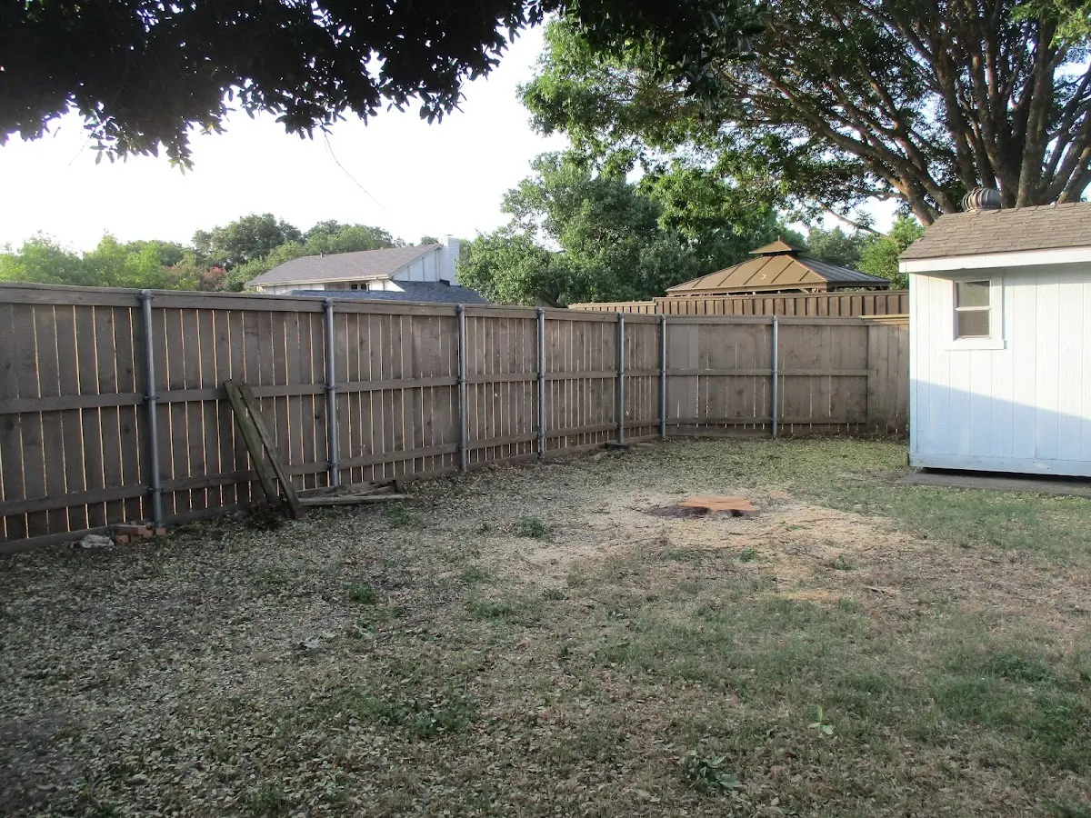 Cleared yard after professional tree removal in Malden