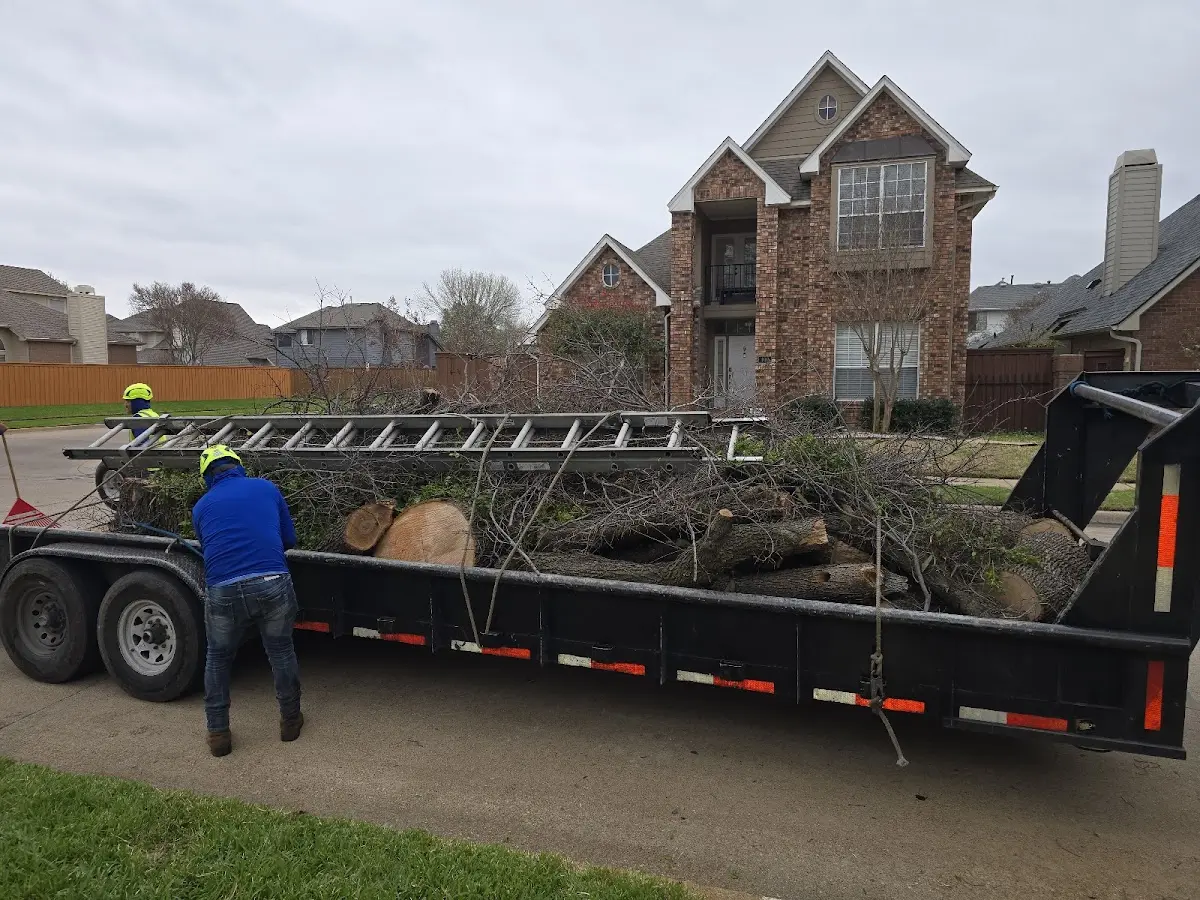Expert Lot Clearing with proper safety equipment in Malden